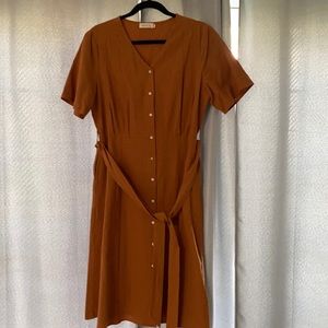 Elegant Brown Button-Down Dress